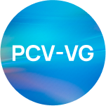Режим PCV-VG