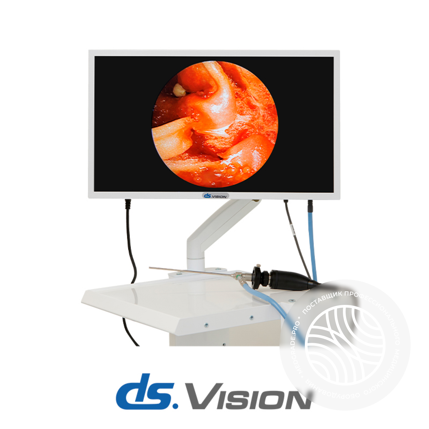 DS.Vision FHD 3in1