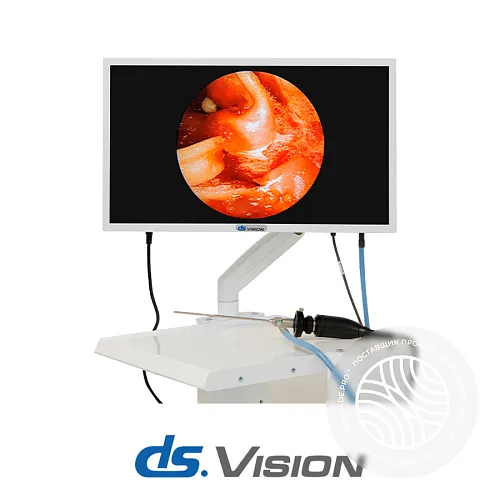 DS.Vision FHD 3in1